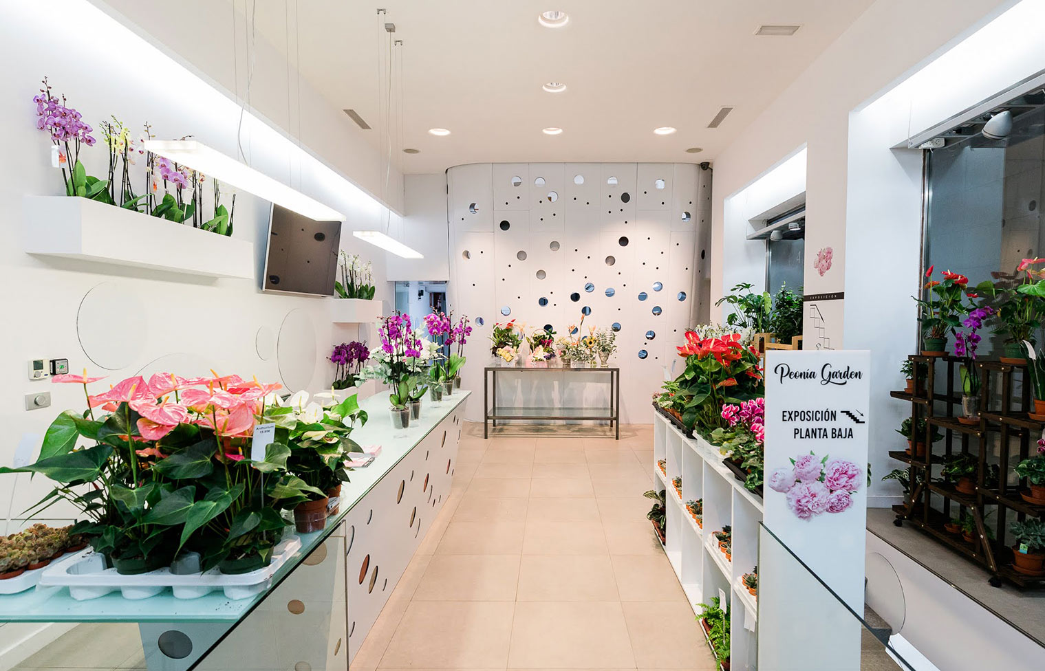 Peonia Garden Floristeria